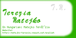 terezia matejko business card